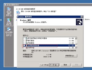 Krypt Windows 服务器