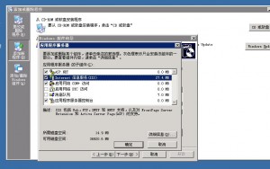 Krypt Windows 服务器
