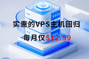 iON美国VPS服务器