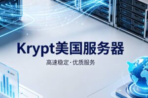 美国服务器方案租用多少钱